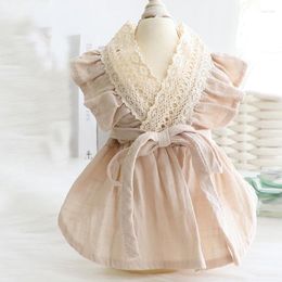 Chien Vêtements Dentelle Robe Pet Chemise De Nuit Style Coréen Jupe Chat Princesse Mince Coton Lin Vêtements Sexy Mignon