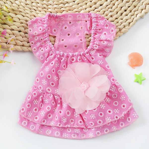 Ropa para perros Princesa de encaje Vestido Faldas Primavera Verano Lunares Flores Accesorios para cachorros 2023 Dulce Azul Rosa Ropa para mascotas