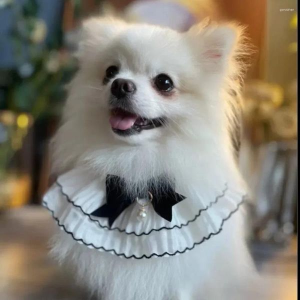 Appareils à chien Lace Scarf Pet Drool serviette chat Bib Black and White Mignon de mode mignon Accessoires pour petits chiens