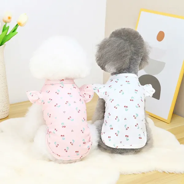 Ropa para perros Mangas de encaje Chaleco Mascota Primavera y verano Oso de peluche Ropa hermosa Gato Malla Transpirable Cachorro