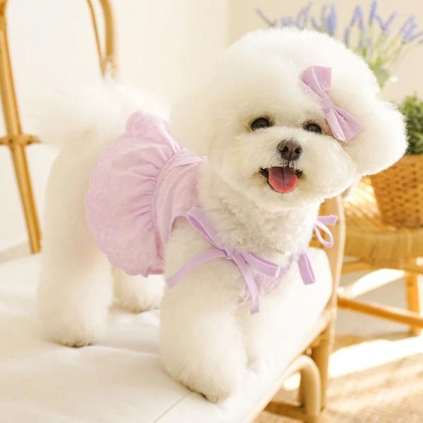 Vêtements de chien dentelle Sling fille vêtements été Bowknot petite robe Bichon Teddy mariage princesse jupe pour animaux de compagnie Bikini