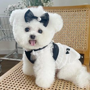 Habille de chien en dentelle Soirée robe de compagnie de animaux de compagnie de vêtements doux chiens super petit mignon chihuahua imprimé estival noir blanc fille mascotas