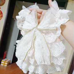 Habille de chien en dentelle Joue de robe de mariée Puppy pour petits chiens vêtements fête pour animaux de compagnie robes de princesse fournies en peluche maltaise en peluche