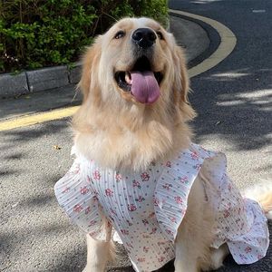 Vêtements pour chiens grandes vêtements d'été petite grande robe robe poméranie caniche samoyed border collie husky labrador golden retriever vêtements