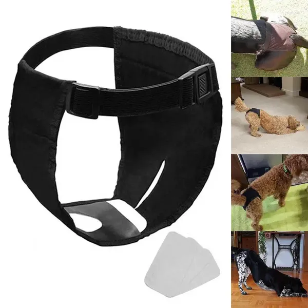 Ropa para perros Pañal grande Pantalones sanitarios Reutilizable Lavable Ropa interior femenina Mascotas Hebilla ajustable Almohadillas de algodón Envolturas cómodas