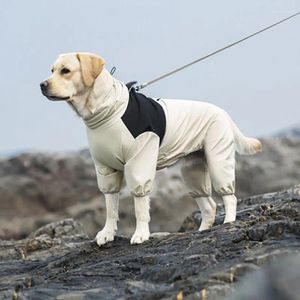 Hondenkleding Grote waterdichte jas regenjas kleding voor kleine honden Labrador Doberman Pet Accessories