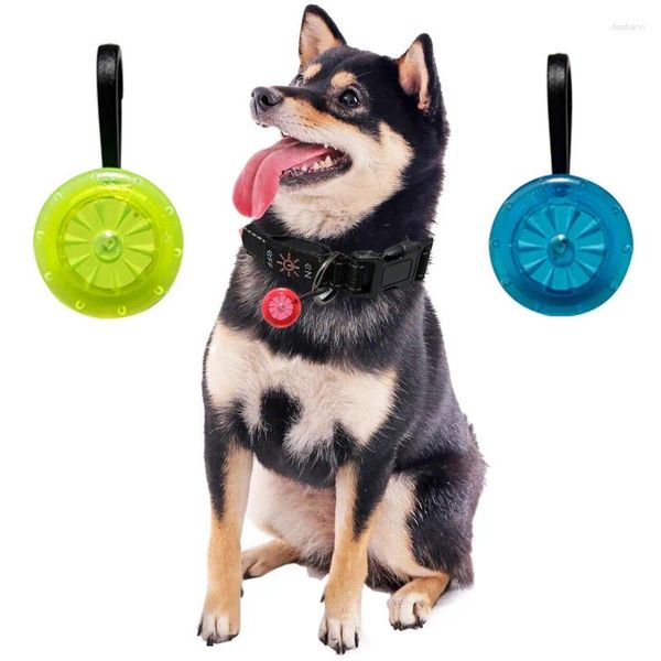 Ropa de perro LED Coloque Coloque brillante Coste de seguridad Luminoso Luminosa Pet Bright in Dark