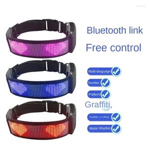 Appareils à chiens Affichage LED Collier Pet Anti-Loss Messagable Lash Glowing