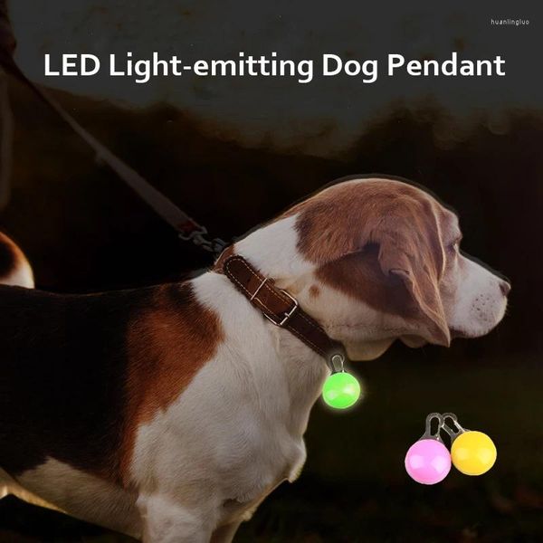 Appareils à chiens LED ÉCLAIRAGE PENDANT POUR LEIL CLAR FLASS LEIL