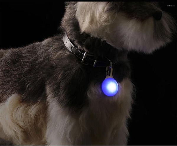 Ropa para perros LED Collar de gato luminoso Colgante brillante Luces de flash Accesorios para mascotas Accesorios para caminar nocturno Accesorios