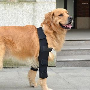 Antaque de jambes pour chien Afle