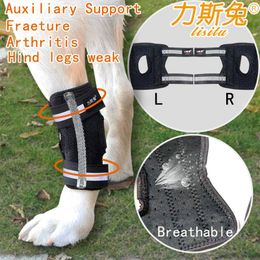 Bonnets de jambes de vêtements pour chiens pour la cheville de la tarre arrière avec sangles réfléchissantes Springs ou barres Soutien de la plaie et de l'arthrite et de l'arthrite