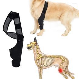 Ropa de perros Correa de la pierna Brace Protector de la manga de recuperación del muslo para el apoyo de las articulaciones caninas Reduzca la atención de las lesiones de impacto