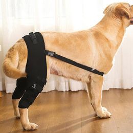 Hondenkleding Beensteun Brace Verstelbare Benenbeschermer Supporter Heupgewricht Wrap Herstellen Huisdieraccessoires