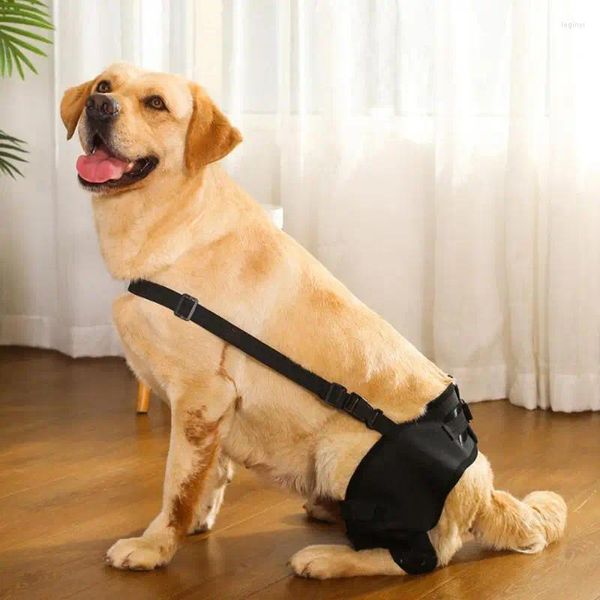 Vêtements de chien Support de jambe Attelle réglable arrière genou hanche blessure à l'articulation de la hanche récupérer l'enveloppe protéger la plaie et prévenir les fournitures