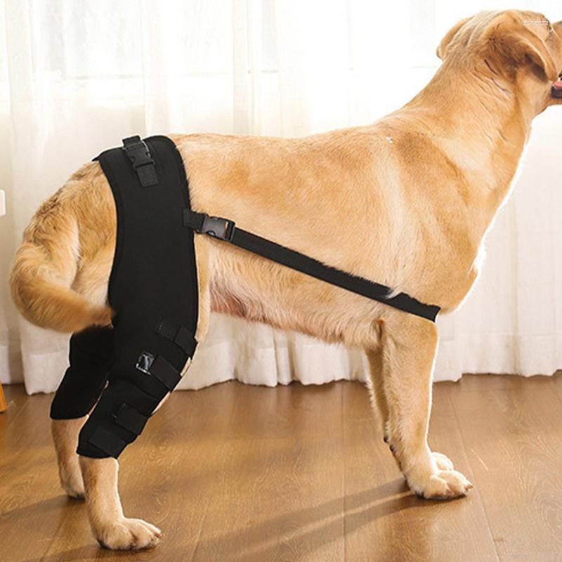 Hundklädbenstödstöd Justerbara benskydd Supporter Höft Joint Wrap Recover Pet Accessoarer