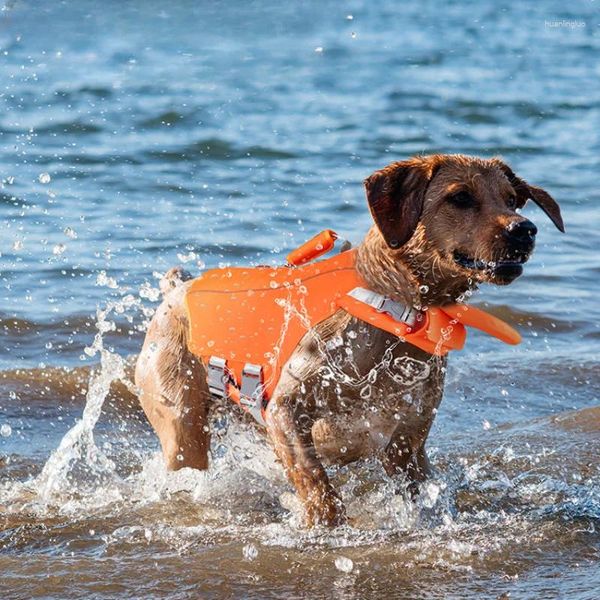 Gilet de sauvetage imperméable pour chiens, vêtements de sécurité d'été, veste de natation pour grands chiens, protection réfléchissante pour le surf