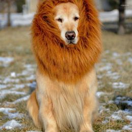 Hondenkleding leeuw grappige wilde golden retriever kostuum hoed hilarisch huisdier cosplay kleding kraag