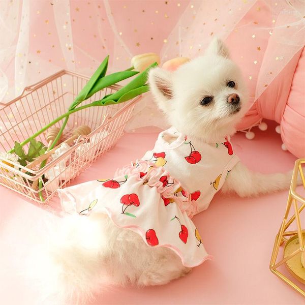 Vêtements pour chiens Petite princesse Jupe Teddy Vêtements Été Mince Chat Ours Bomei Chiot Modèle Matériel Origine Saison