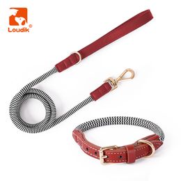 Ropa para perros Loudik Luxury Rope Collar y correa de cuero vegano ajustable con nylon pequeños medios medianos grandes cables de mascotas caminando al por mayor 230814