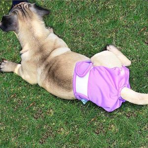 Vêtements pour chiens beaux chiens pantalons physiologiques sanitaires culottes de menstruation avec autocollant magique sécurité physique pour animal de compagnie