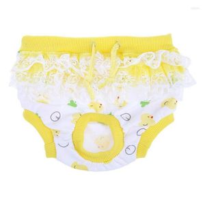 Vêtements pour chiens beaux chiens pantalons physiologiques sanitaires en mousseline de soie lavable caleçons pour animaux de compagnie Shorts sous-vêtements accessoires latéraux en dentelle