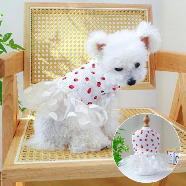 Vêtements de chien belle robe d'animal de compagnie motif de fraise douce chat tulle princesse beau travail confortable usage quotidien