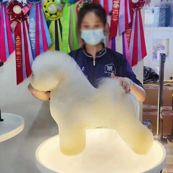 Ropa para perros mesa luminosa mascota belleza presión elevación de la presión de gato rotativo de teddy cosmética