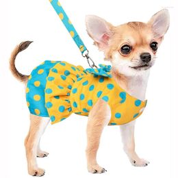 Ropa para perros vestido de bowknot de lujo para perros pequeños verano yorkie chihuahua niña cachorro ropa princesa arnés y correa conjunto