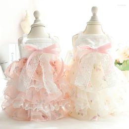 Vêtements de luxe pour chiens, robes d'été mignonnes en dentelle pour animaux de compagnie, soirée de mariage, mode fantaisie Tutu Chihuahua Drop Ropa Perro