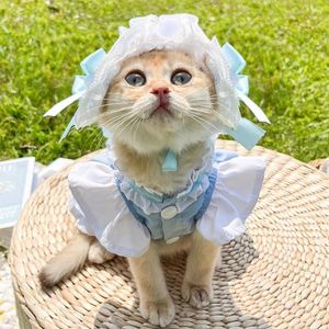 Costume de style de femme de chambre pour chien pour petit chat robe rose bleu avec bague de laisse fête des vacances de fête extérieure mignonne