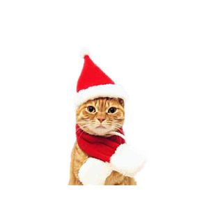 Vêtements de chien Joyeux Noël Mignon Petit Peluche Santa Chapeau Écharpe Vêtements Décoration De Noël Chiot Chaton Chat Casquette Bonne Année Cadeau Pet Suppli Dh1Cp