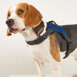 Hondenkleding Mesh Ademend Harnas voor huisdieren Verstelbare nek en borst Reflecterend trekvrij puppyvest