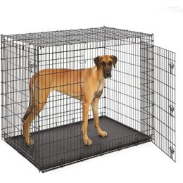 Homes Midwest Homes pour animaux de compagnie SL54DD Ginormus Double Double Door Crate xxl Les plus grands chiens engendrent Great Dane Mastiff St. Bernard