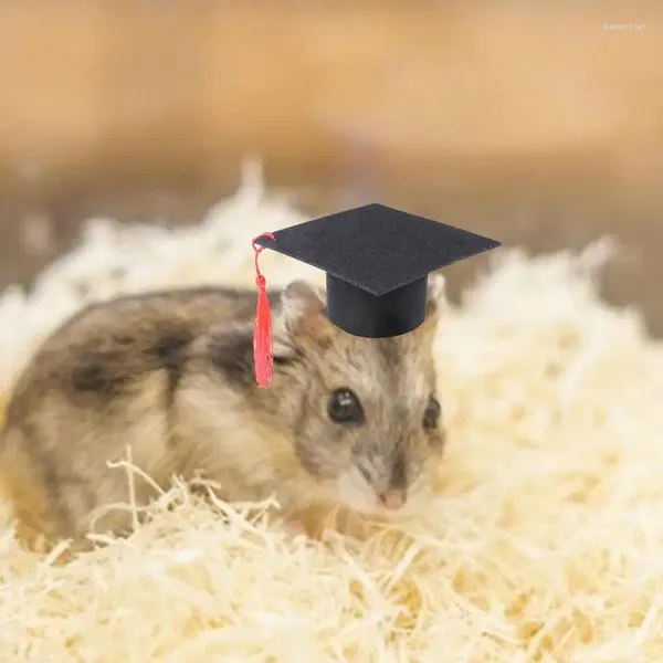 Ropa para perros mini soltero sombrero gracioso mascotas de graduación con borla roja disfraz adorable para conejos pequeños perros gato regalo