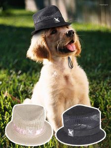 Chien vêtements Mini mignon chapeau été extérieur crème solaire respirant maille animaux de compagnie chapeaux ornement formel chapeaux Festival décor accessoires