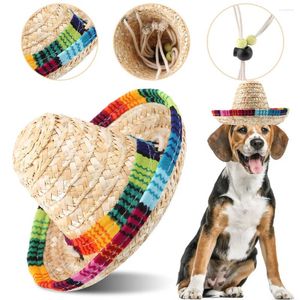 Appareils pour chiens mini chapeau de fête Sombrero pour petits animaux de compagnie / chiot / chat avec ajustement de corde en coton