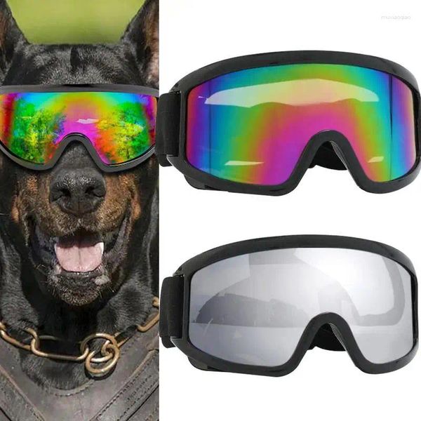 Lunettes de moto pour chiens Lunettes de soleil UV réglables