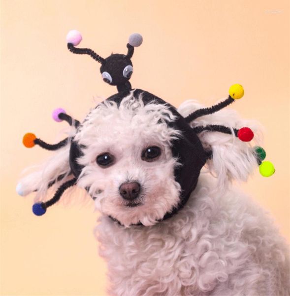 Vêtements pour chiens Chapeau pour animaux de compagnie multi-antennes Chapeau en forme de fourmi Cosplay Drôle Halloween Accessoires pour chats Monstre Insecte Bonnet d'hiver doux pour chiens