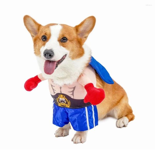 Vêtements pour chiens multiples costumes de boxer Style Soft et confortable animal de compagnie Tenues chaudes de vêtements Polyester matériel