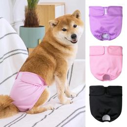 Vêtements pour chiens Couches réglables et réutilisables pour animaux de compagnie, bande de fixation pour pantalon anti-fuite, formation de chiot, période hautement absorbante de qualité supérieure