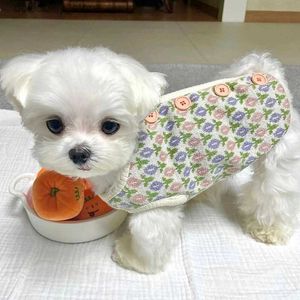 Vêtements pour chiens Nouveau automne fleur d'hiver faire des vêtements chat do vest en peluche cori chaude et robe coodle bichon bichon