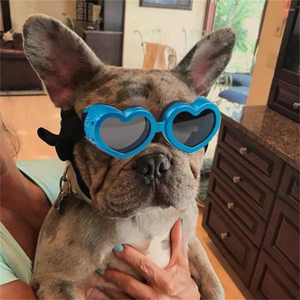 Ropa para perros Sin olor Gran protección para los ojos del perrito con correa ajustable PC Gafas para mascotas Forma exquisita para acampar