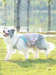 Vêtements pour chiens sur des vêtements pour animaux de compagnie jupe robe grande race avec des traits de traits mignons samoyeds labrador amoureux tenue