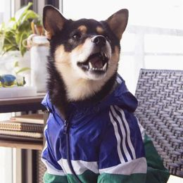 Appareils pour chiens Veste imperméable extérieure pour chiot Répanne de chiens de gros vêtements Akita Labrador Pet Mabe Sport Sport Cats Pug