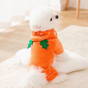 Vêtements pour chiens pyjamas Vêtements de carottes hiver