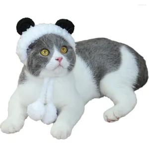 Vêtements pour chiens Panda ours Costume Nou-OOEUR BEAUCOUP BANQUE BANQUE PROTECTEUR DE CAT ET TAILLE S