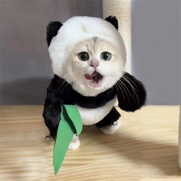 Vêtements pour chiens Panda COS Costume pour animaux de compagnie Chiens Vêtements pour chats Déguisement de Noël Convient aux petits animaux de compagnie Perruque mignonne Fournitures et accessoires de fête 231124
