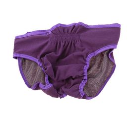 Hondenkleding slipjes luiers sanitaire broek menstruatie voor meisjes vrouwelijke voorraden ondergoed huisdieren fysiologische broek pezen puppy