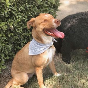 Ropa para perros Bandana personalizada Seersucker Nombre de regalo Rayas personalizadas Textura preppy Babero Bufanda para mascotas Negro Gris Blanco Carbón